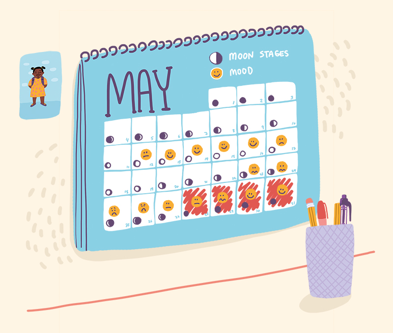 Calendar showing the various stages of the menstrual cycle